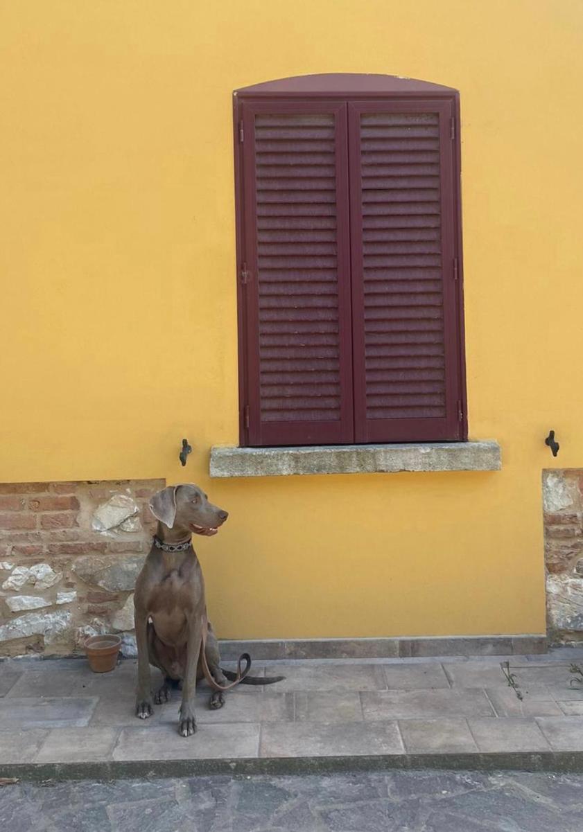 B&B La Fucinaia Pet Friendly Adults Only Campiglia Marittima Exterior photo